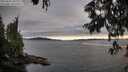 ./images/koeye/fitz-hugh/20250630/fitz-hugh20250630_205508M.jpg