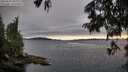./images/koeye/fitz-hugh/20250630/fitz-hugh20250630_210009M.jpg