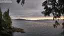 ./images/koeye/fitz-hugh/20250630/fitz-hugh20250630_210509M.jpg