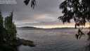 ./images/koeye/fitz-hugh/20250630/fitz-hugh20250630_211009M.jpg