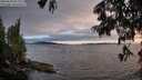 ./images/koeye/fitz-hugh/20250630/fitz-hugh20250630_212010M.jpg