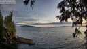 ./images/koeye/fitz-hugh/20250630/fitz-hugh20250630_213509M.jpg