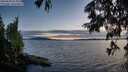 ./images/koeye/fitz-hugh/20250630/fitz-hugh20250630_215009M.jpg