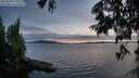 ./images/koeye/fitz-hugh/20250630/fitz-hugh20250630_221009M.jpg