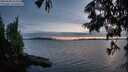 ./images/koeye/fitz-hugh/20250630/fitz-hugh20250630_221509M.jpg