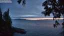 ./images/koeye/fitz-hugh/20250630/fitz-hugh20250630_223008M.jpg