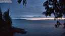 ./images/koeye/fitz-hugh/20250630/fitz-hugh20250630_223504M.jpg