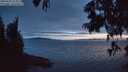 ./images/koeye/fitz-hugh/20250630/fitz-hugh20250630_224009M.jpg