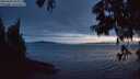 ./images/koeye/fitz-hugh/20250630/fitz-hugh20250630_224509M.jpg