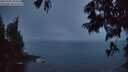 ./images/koeye/fitz-hugh/20250701/fitz-hugh20250701_044509M.jpg