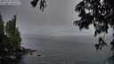 ./images/koeye/fitz-hugh/20250701/fitz-hugh20250701_050009M.jpg