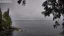 ./images/koeye/fitz-hugh/20250701/fitz-hugh20250701_052507M.jpg