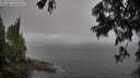 ./images/koeye/fitz-hugh/20250701/fitz-hugh20250701_092011M.jpg