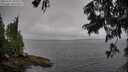 ./images/koeye/fitz-hugh/20250701/fitz-hugh20250701_093510M.jpg