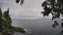 ./images/koeye/fitz-hugh/20250701/fitz-hugh20250701_094009M.jpg