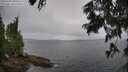 ./images/koeye/fitz-hugh/20250701/fitz-hugh20250701_094510M.jpg