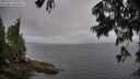 ./images/koeye/fitz-hugh/20250701/fitz-hugh20250701_095510M.jpg