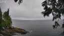 ./images/koeye/fitz-hugh/20250701/fitz-hugh20250701_100511M.jpg