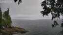./images/koeye/fitz-hugh/20250701/fitz-hugh20250701_101509M.jpg