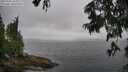 ./images/koeye/fitz-hugh/20250701/fitz-hugh20250701_103012M.jpg