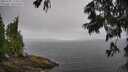 ./images/koeye/fitz-hugh/20250701/fitz-hugh20250701_115510M.jpg