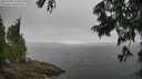 ./images/koeye/fitz-hugh/20250701/fitz-hugh20250701_120508M.jpg
