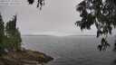 ./images/koeye/fitz-hugh/20250701/fitz-hugh20250701_122510M.jpg