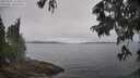 ./images/koeye/fitz-hugh/20250701/fitz-hugh20250701_123511M.jpg