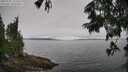 ./images/koeye/fitz-hugh/20250701/fitz-hugh20250701_125510M.jpg