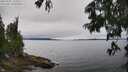./images/koeye/fitz-hugh/20250701/fitz-hugh20250701_134010M.jpg