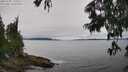 ./images/koeye/fitz-hugh/20250701/fitz-hugh20250701_135510M.jpg