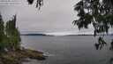 ./images/koeye/fitz-hugh/20250701/fitz-hugh20250701_140510M.jpg
