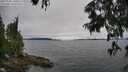 ./images/koeye/fitz-hugh/20250701/fitz-hugh20250701_141009M.jpg