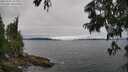 ./images/koeye/fitz-hugh/20250701/fitz-hugh20250701_142007M.jpg
