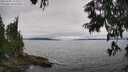 ./images/koeye/fitz-hugh/20250701/fitz-hugh20250701_143010M.jpg