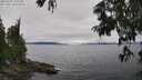 ./images/koeye/fitz-hugh/20250701/fitz-hugh20250701_143510M.jpg