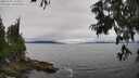 ./images/koeye/fitz-hugh/20250701/fitz-hugh20250701_144010M.jpg