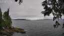 ./images/koeye/fitz-hugh/20250701/fitz-hugh20250701_144510M.jpg