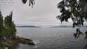 ./images/koeye/fitz-hugh/20250701/fitz-hugh20250701_145510M.jpg