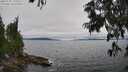./images/koeye/fitz-hugh/20250701/fitz-hugh20250701_150010M.jpg