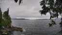 ./images/koeye/fitz-hugh/20250701/fitz-hugh20250701_154510M.jpg
