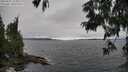 ./images/koeye/fitz-hugh/20250701/fitz-hugh20250701_155010M.jpg
