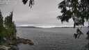 ./images/koeye/fitz-hugh/20250701/fitz-hugh20250701_160509M.jpg