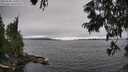 ./images/koeye/fitz-hugh/20250701/fitz-hugh20250701_161010M.jpg