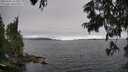 ./images/koeye/fitz-hugh/20250701/fitz-hugh20250701_162510M.jpg
