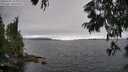 ./images/koeye/fitz-hugh/20250701/fitz-hugh20250701_163011M.jpg