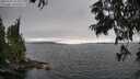 ./images/koeye/fitz-hugh/20250701/fitz-hugh20250701_163510M.jpg
