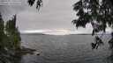 ./images/koeye/fitz-hugh/20250701/fitz-hugh20250701_170509M.jpg