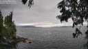 ./images/koeye/fitz-hugh/20250701/fitz-hugh20250701_171010M.jpg