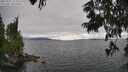 ./images/koeye/fitz-hugh/20250701/fitz-hugh20250701_172009M.jpg